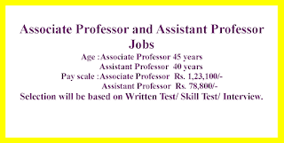 Associate Professor and Assistant Professor Jobs