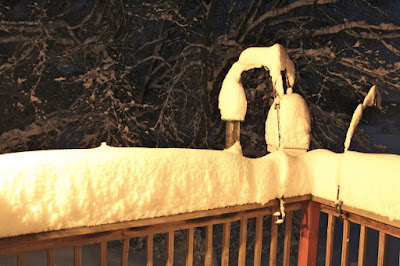 14" new snow, April 17, 2014