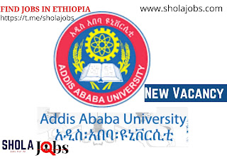 Addis Ababa University Jobs Vacancy 2022 (11 open positions)