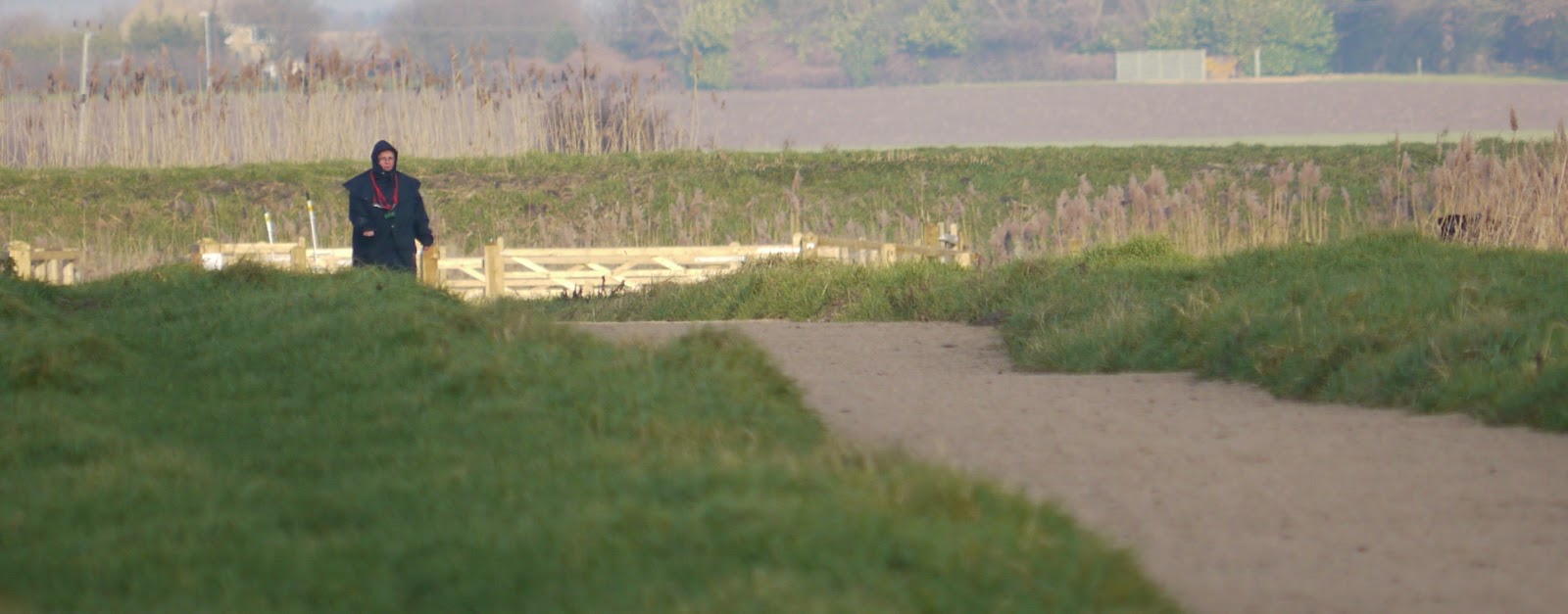 P1220434.jpg