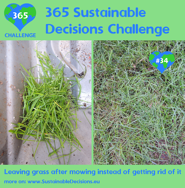 #34 - Leaving grass after mowing instead of getting rid of it, reducing waste, sustainable living, sustainability, climate action