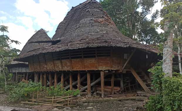 rumah adat nias di tumori