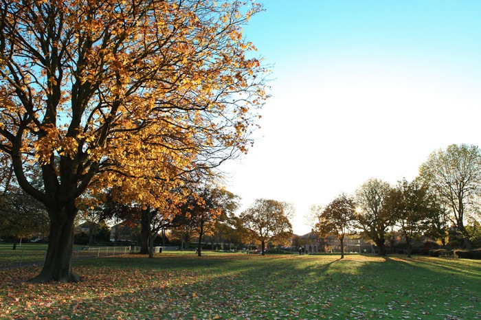 Park 1