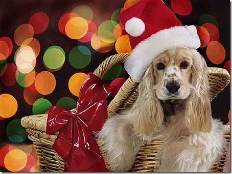 11 - POSTALES NAVIDAD (22)