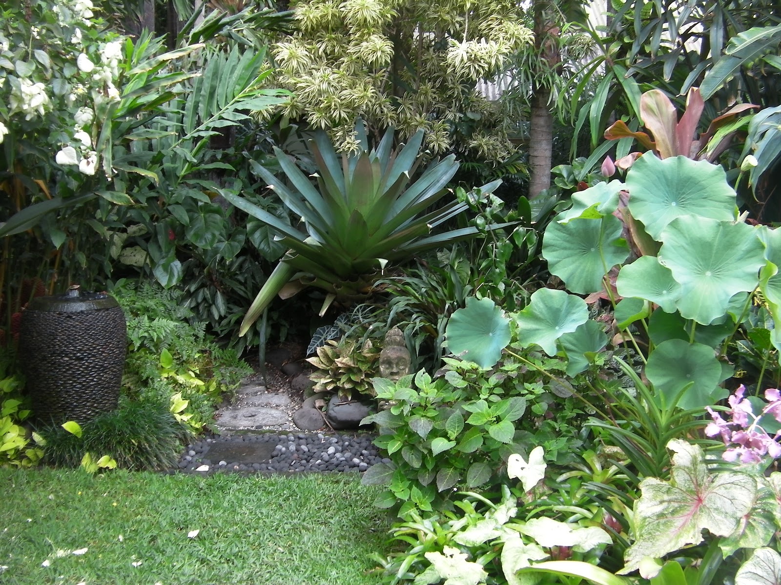The garden is on approx 3000 sq meters. Over the years Dennis bought 