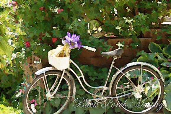 bikeone bikeone