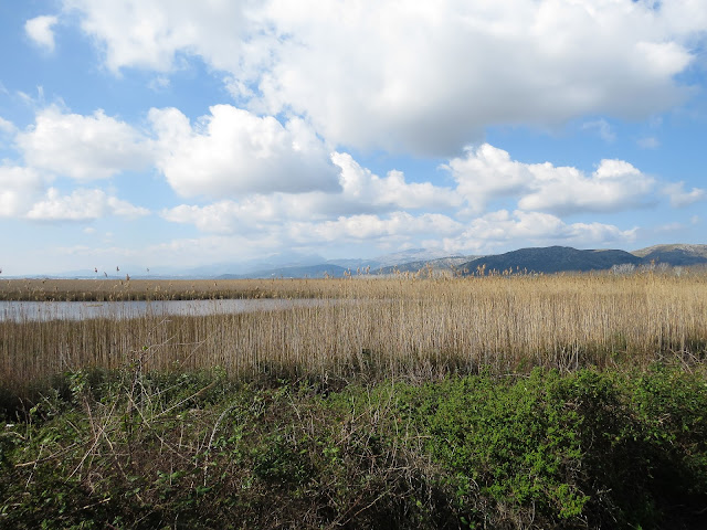 S’Albufera Natural Park, Mallorca