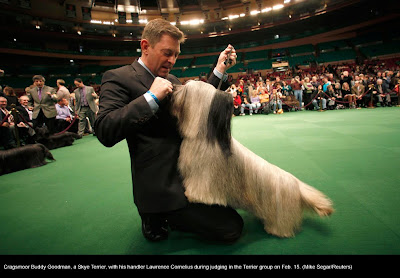 135th Westminster Kennel Club Dog Show at Madison Square Garden in New York City