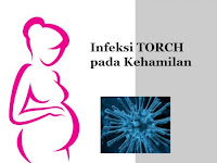 Infeksi TORCH pada Kehamilan