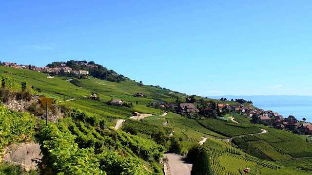 Lavaux, Switzerland