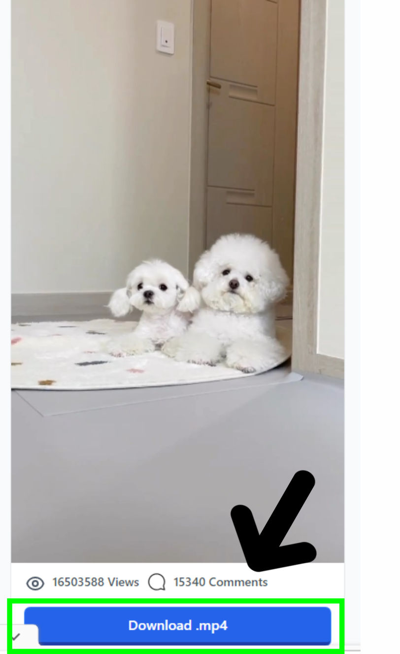 Download Instagram Reel/Video