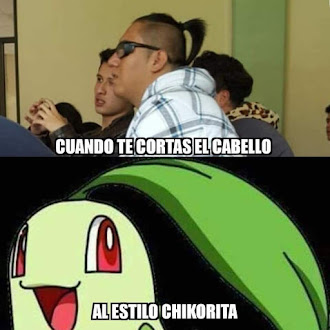 MEMES POKEMON GO MODA