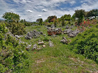 Biodiversità del Gargano