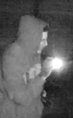 The camera at White Pines Park caught this suspect. If you know him, call 754-6500