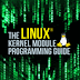 eBook - A guide to programming Linux kernel modules