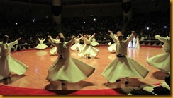 IMG_5784 (800x450)