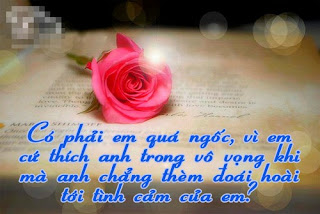 Status tình yêu đơn phương của con gái