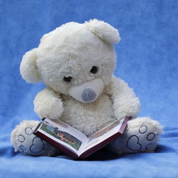 Sweet White Teddy Bear Reading Book