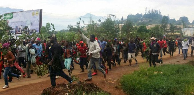 Camarões: detido arbitrariamente morre de cólera em Douala, e outros estão em risco de vida, diz Anistia Internacional