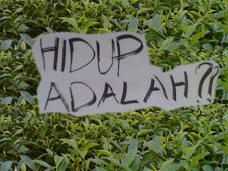 hidup