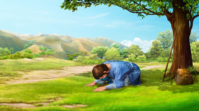 Eastern Lightning, The Church of Almighty God, Church