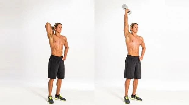1B Triceps extension: