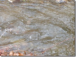 rushing stream