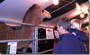around home, osceola fair 099