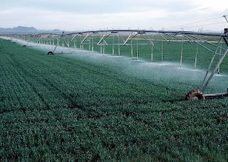 drip irrigation, micro irrigation