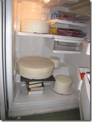 IMG_7740 IMG_7740