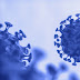 PANDEMIA: Nova subvariante do coronavírus é identificada em São Paulo