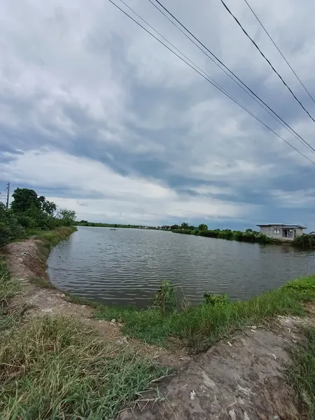 A fish pond in San Jose Gumi