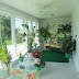 Plants In Sunroom