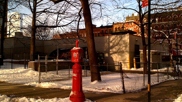 Fire alarm call box