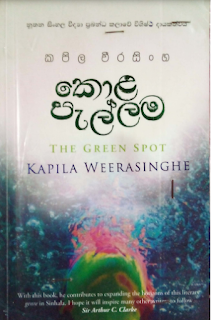 kola pallama sinhala novel