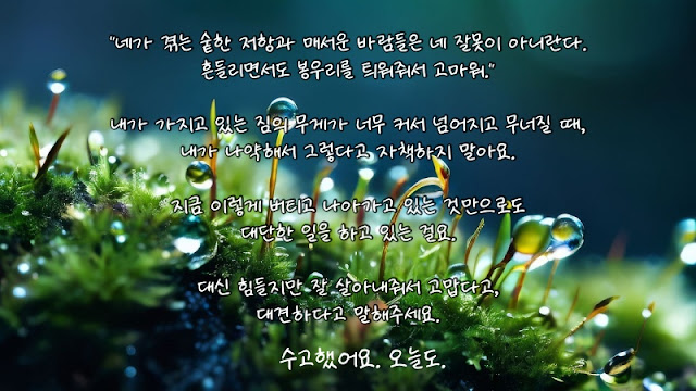 힐링-글-수고했어요