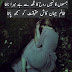 Latest Top Urdu Shayari on BreakUP | Urdu Sad Shayari | Shayri-E-Love