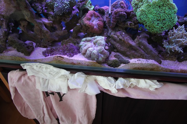 アクアリウム水槽水漏れ