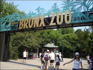 Bronx Zoo - America
