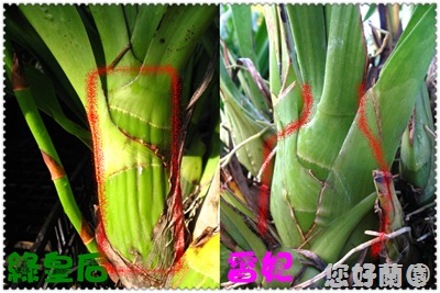 未命名 - 2