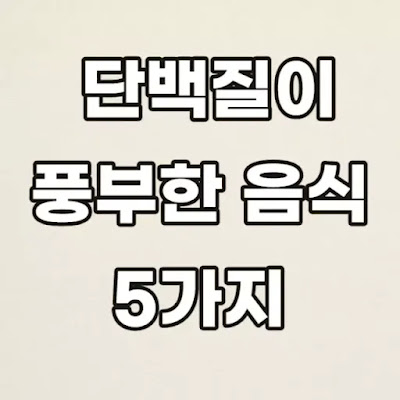 단백질이-풍부한-5가지-음식