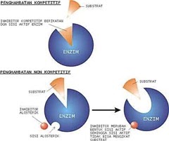 Metabolisme Dalam Tubuh Manusia  Ilmu pengetahuan