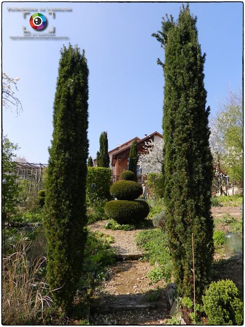 LAY-SAINT-CHRISTOPHE (54) - Jardin d'Adoué en avril !