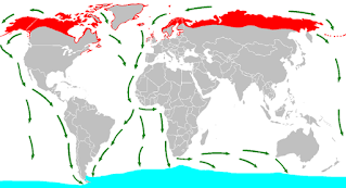 Rutas de migración