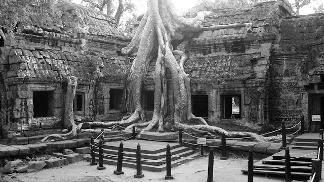 Ta Prohm Temple in Cambodia