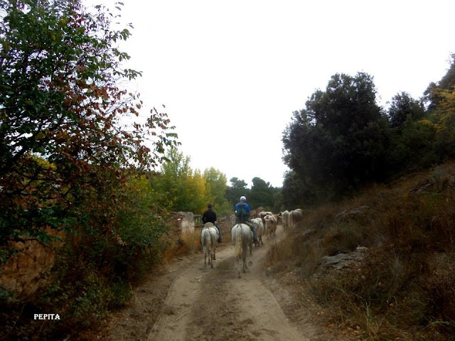 Lugros.Toros de la Peza