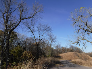 trees, shrubs, and grasses against a blue sky at Stone State Park in Sioux City, Iowa