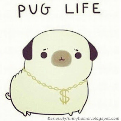 Pug Life!