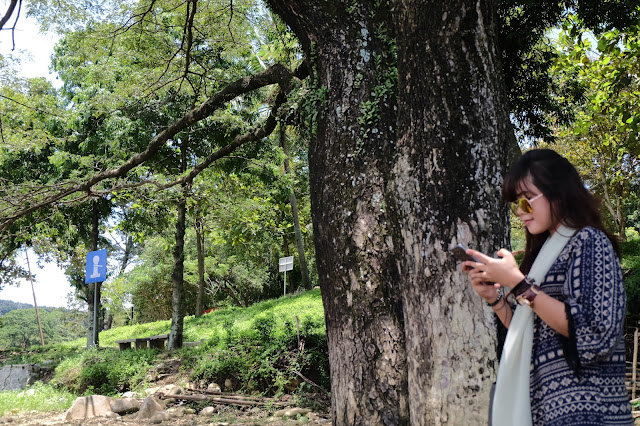  Karena bapak saya hanya sering bercerita saja ihwal kota masa kecilnya kesaya tanpa say WADUK JATILIHUR - CERITA MASA KECIL DAN TENTANG RINDU YANG TEROBATI