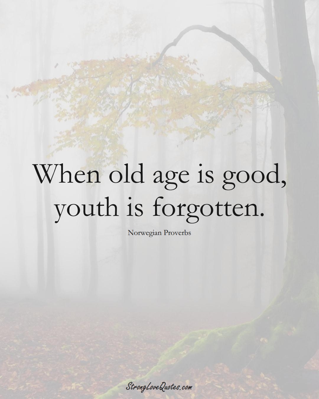 When old age is good, youth is forgotten. (Norwegian Sayings);  #EuropeanSayings